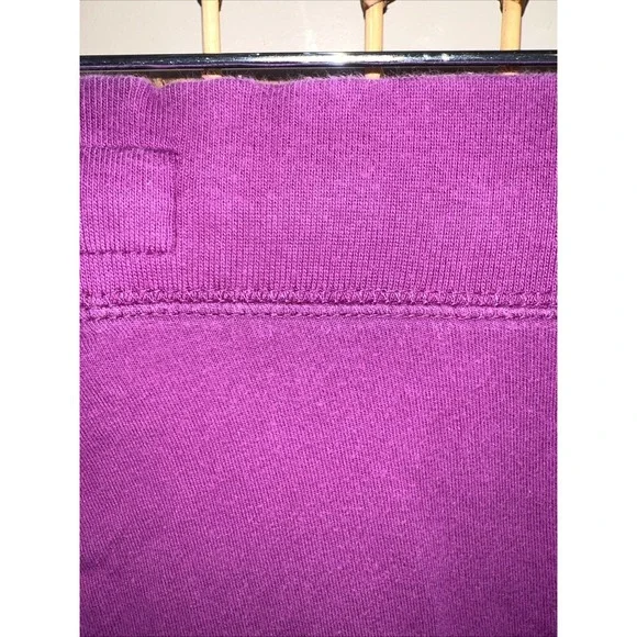 Vintage Aerie Juniors Size Lg Sweat Athletic Shortie Purple Shorts - Picture 7 of 7